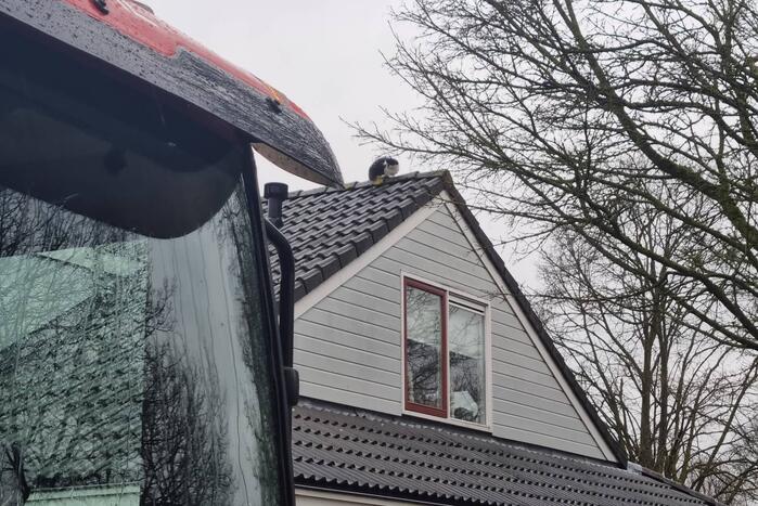 Baasje redt kat van het dak