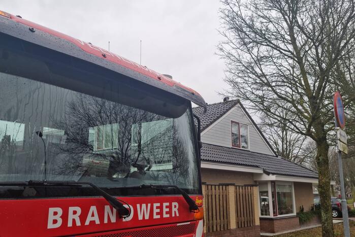 Baasje redt kat van het dak