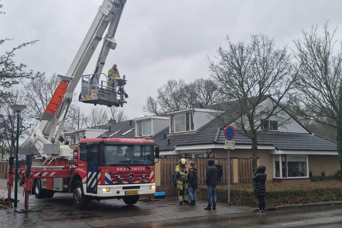 Baasje redt kat van het dak