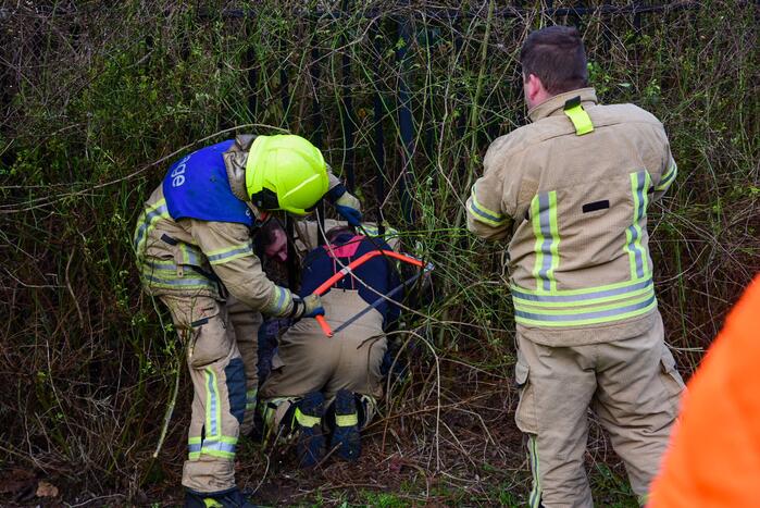 Brandweer redt ree uit hek