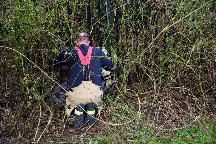 Brandweer redt ree uit hek