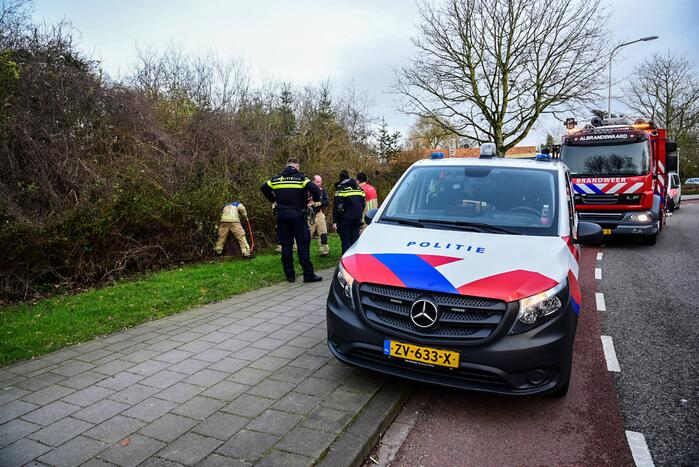 Brandweer redt ree uit hek