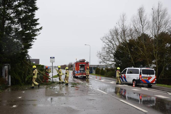 Boom valt op bushokje en fietspad