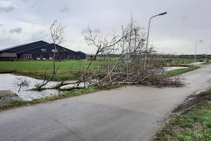 Boom valt over weg heen