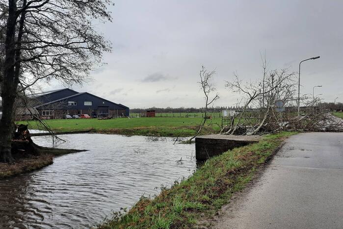 Boom valt over weg heen