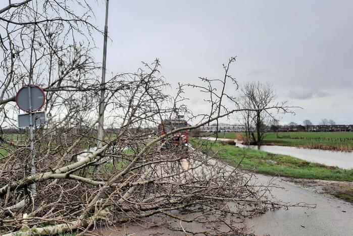 Boom valt over weg heen