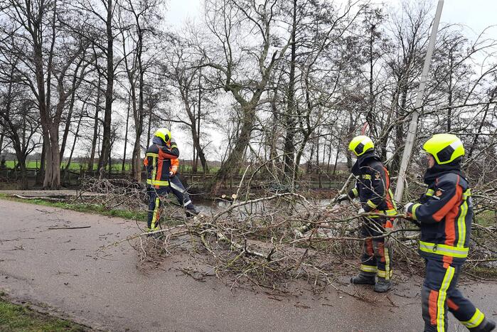 Boom valt over weg heen