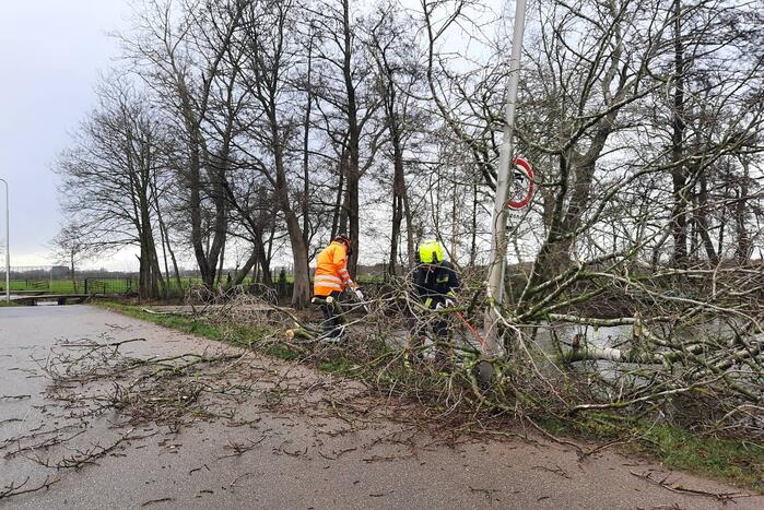Boom valt over weg heen