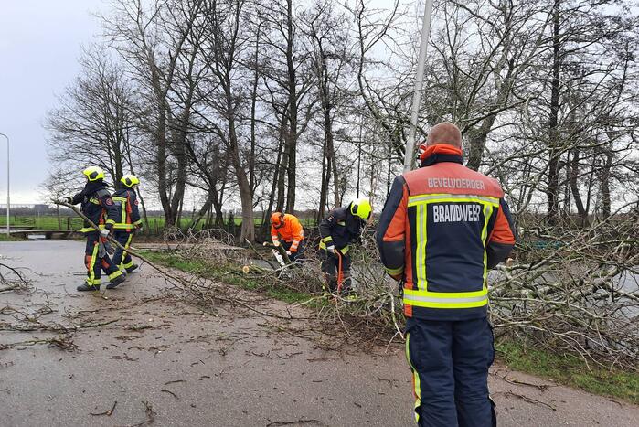 Boom valt over weg heen