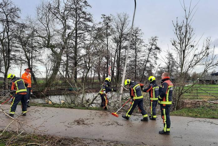 Boom valt over weg heen