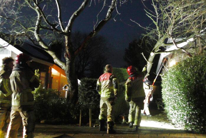 Grote tak breekt van boom