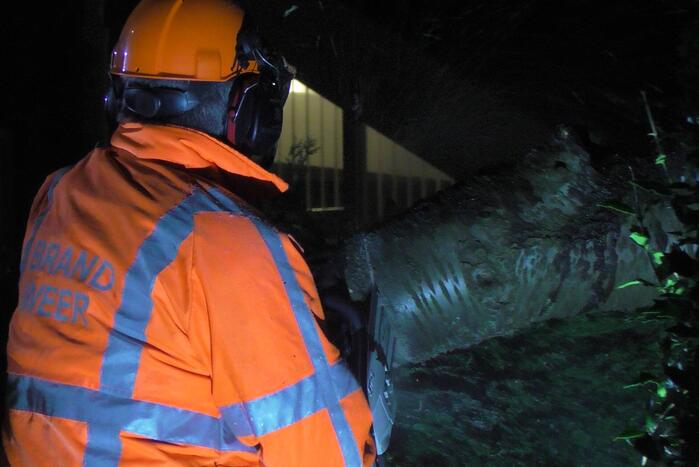 Grote tak breekt van boom