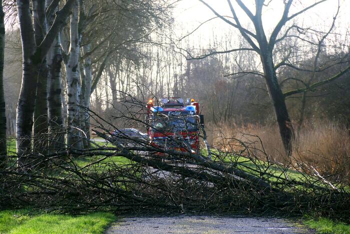 Omgewaaide boom verspert weg