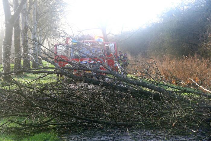 Omgewaaide boom verspert weg