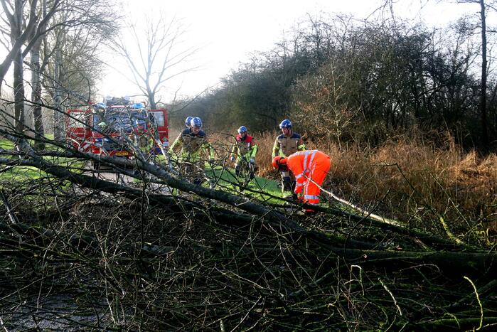 Omgewaaide boom verspert weg