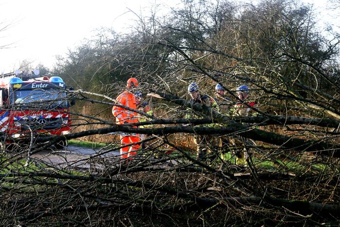 Omgewaaide boom verspert weg