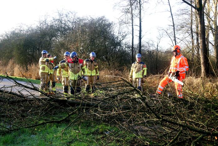 Omgewaaide boom verspert weg