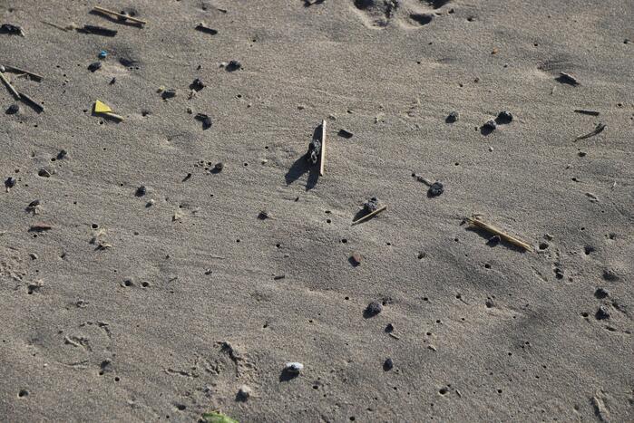 Meerdere bolletjes olie op strand aangetroffen