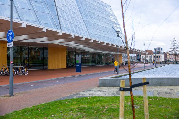 Actievoerders Greenpeace besmeuren geplante boom bij Staatsbosbeheer