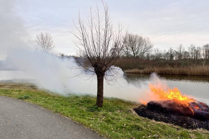 Veel rook en vuur bij brand in riet