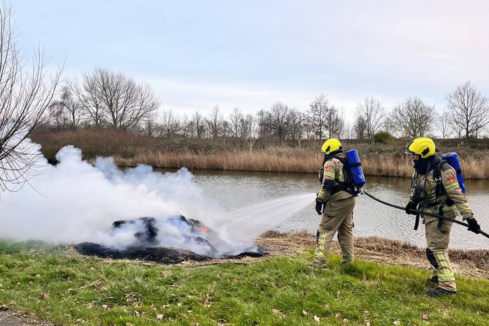 Veel rook en vuur bij brand in riet