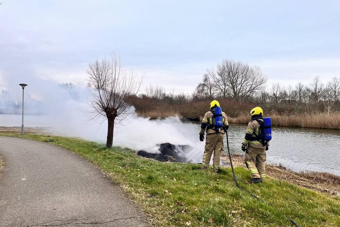 Veel rook en vuur bij brand in riet