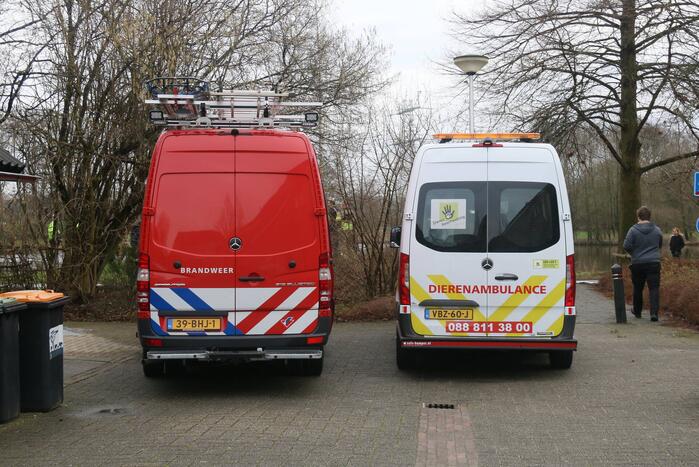 Duikers van de brandweer redden vastzittende meeuw