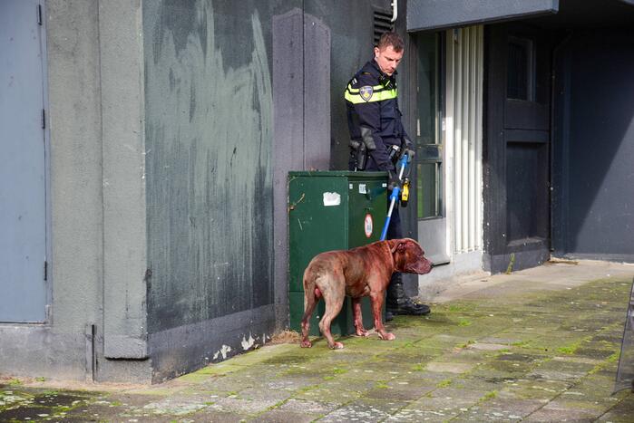 Meerdere gewonden na aanval van agressieve hond