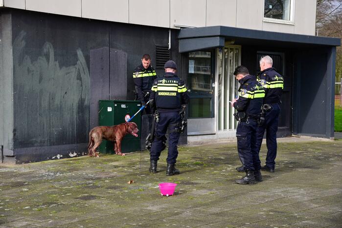 Meerdere gewonden na aanval van agressieve hond