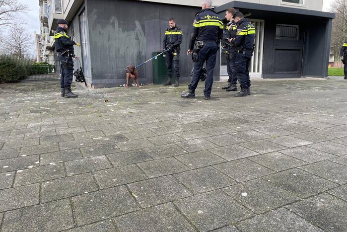 Meerdere gewonden na aanval van agressieve hond