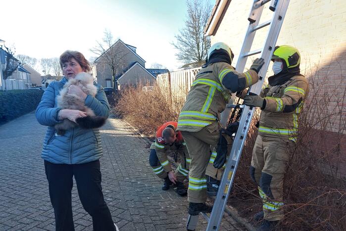 Brandweer redt kat van dak