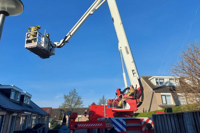 Brandweer redt kat van dak