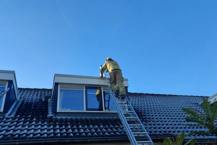 Brandweer redt kat van dak