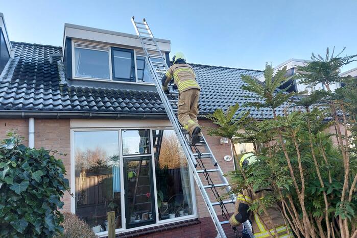 Brandweer redt kat van dak
