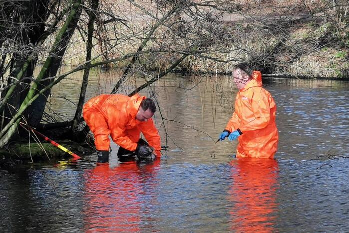 Brandweer redt gans met visdraad om zijn nek