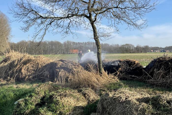 Brand in berg met gemaaid riet