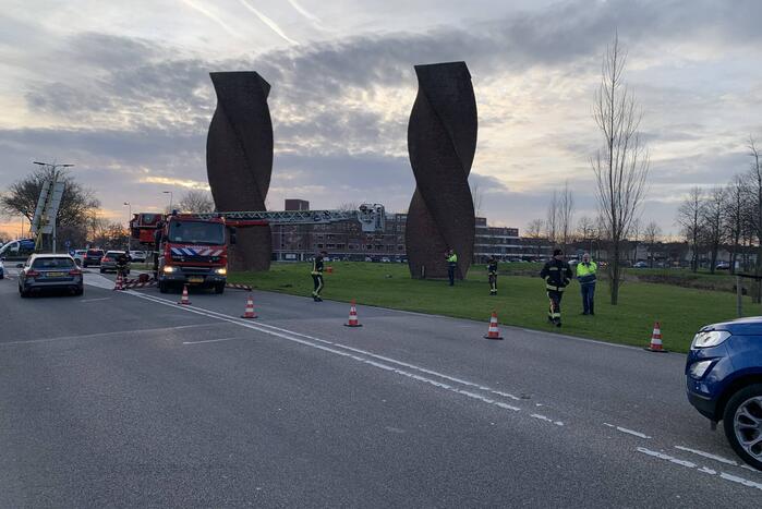 Brandweer redt gans uit kunstwerk