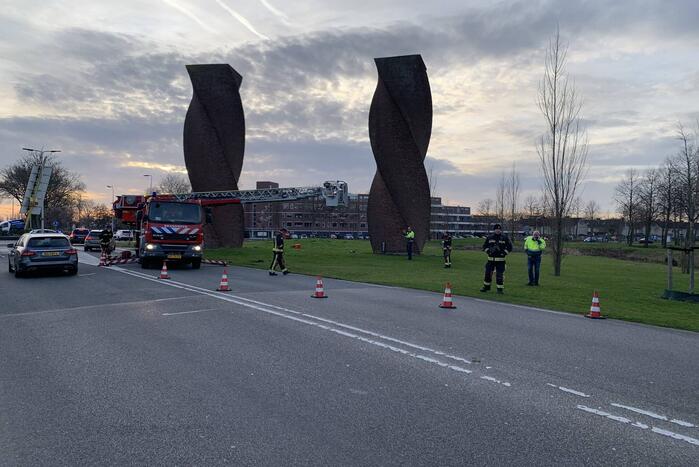Brandweer redt gans uit kunstwerk