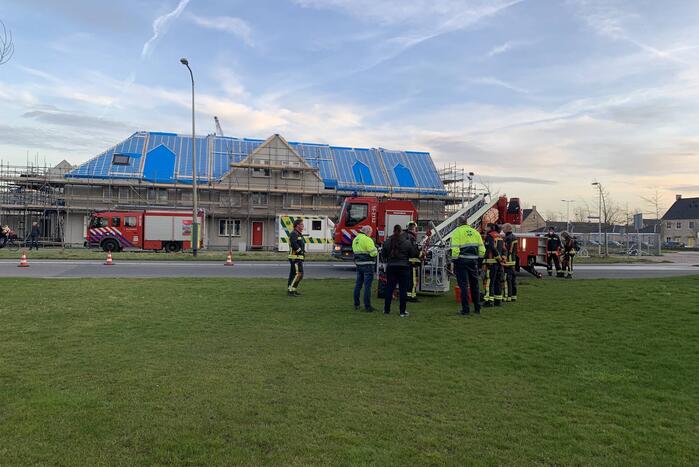 Brandweer redt gans uit kunstwerk