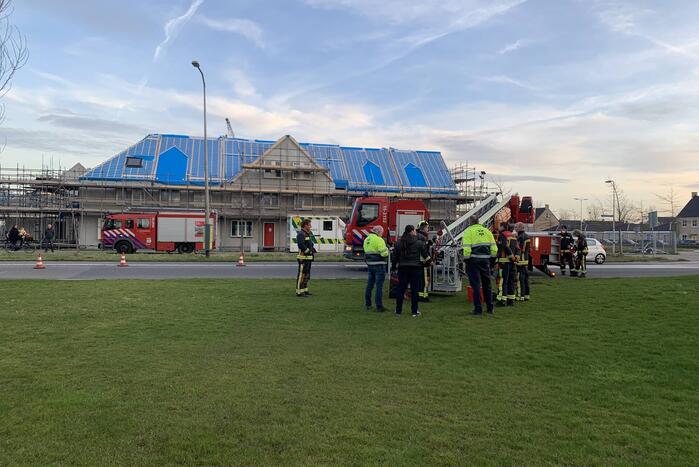 Brandweer redt gans uit kunstwerk