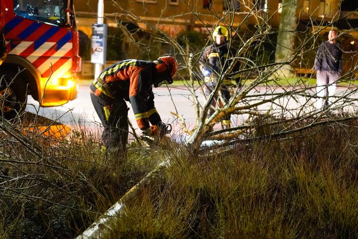 Boom valt om door harde wind