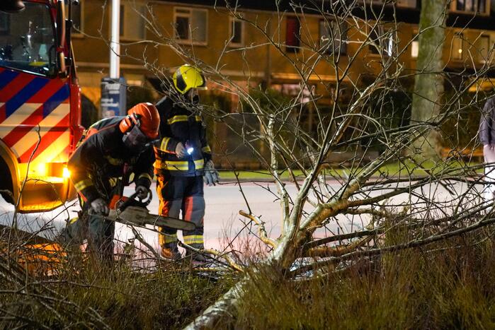 Boom valt om door harde wind