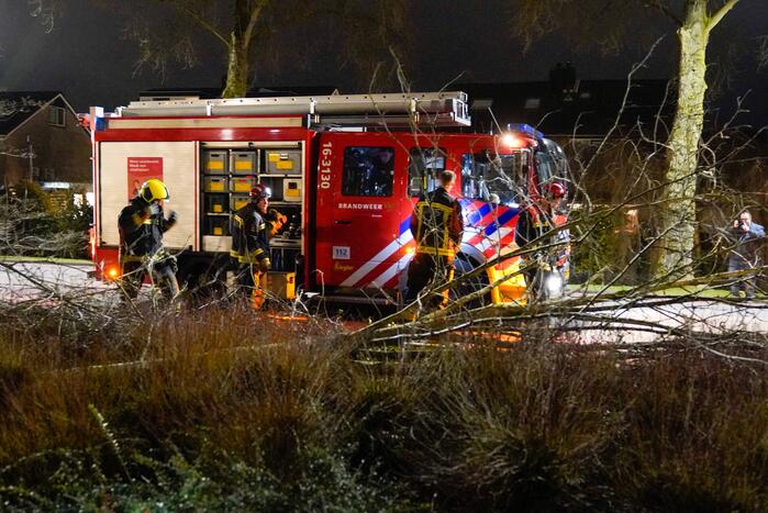 Boom valt om door harde wind