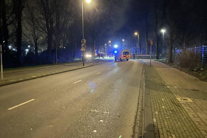 Gewonde nadat boom op auto valt