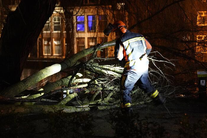 Tak afgebroken en op de weg gevallen