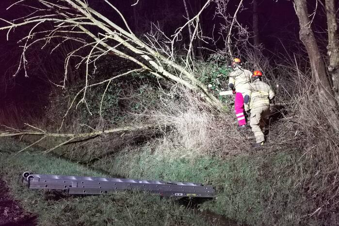 Brandweer zaagt twee bomen om