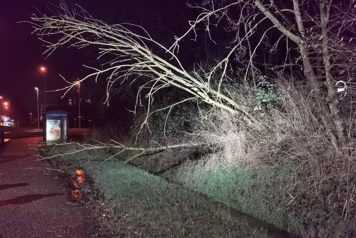 Brandweer zaagt twee bomen om