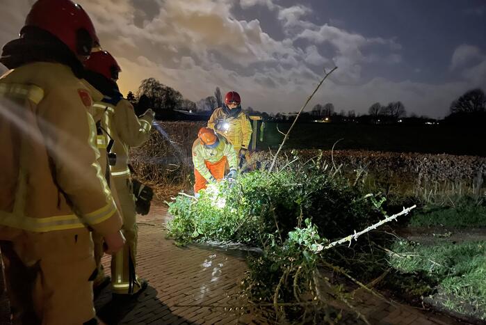 Twee omgewaaide bomen beschadigde woning