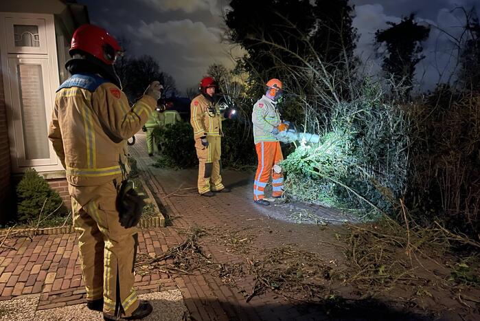 Twee omgewaaide bomen beschadigde woning
