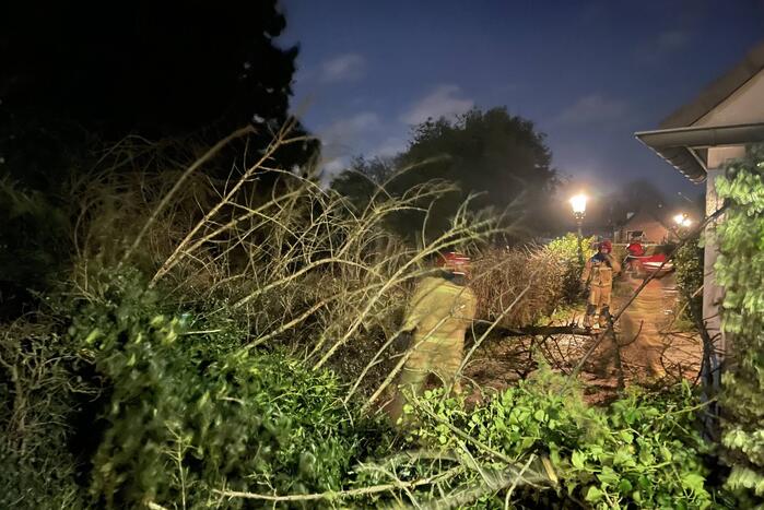 Twee omgewaaide bomen beschadigde woning